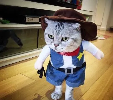 Pet Costumes