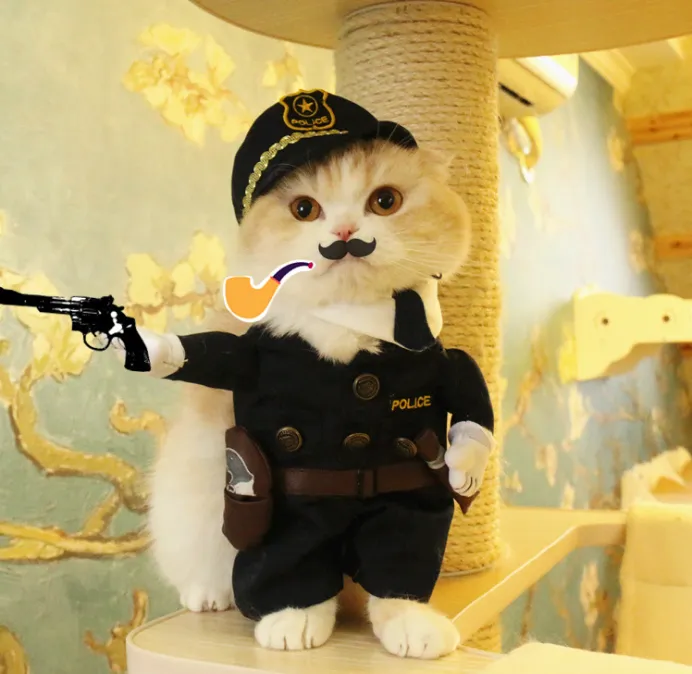 Pet Costumes