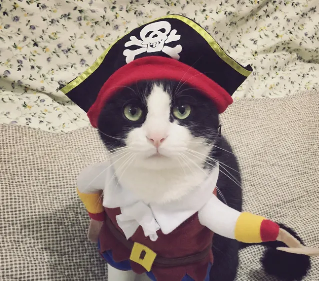 Pet Costumes