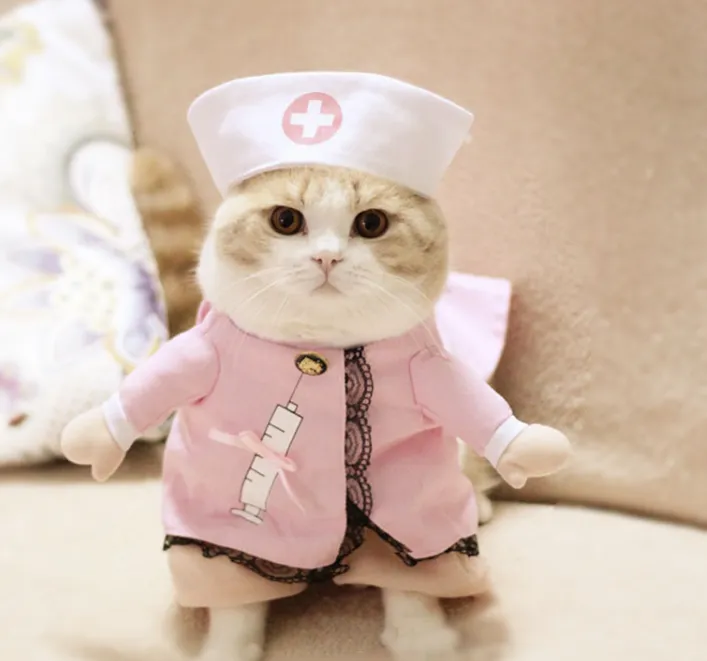 Pet Costumes