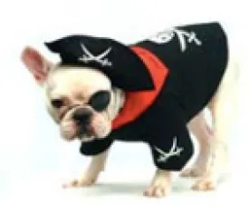 Pirate Costume