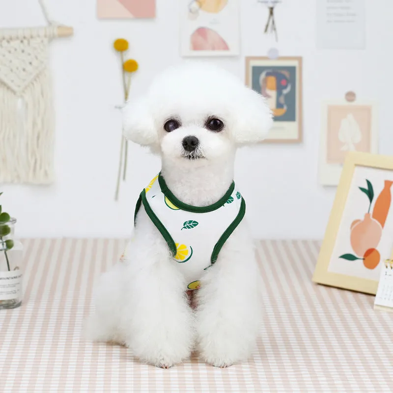 Summer cute fruit vest pet clothing for dogs and cats