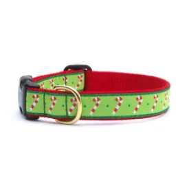 Up Country Candy Cane Collars & Leads