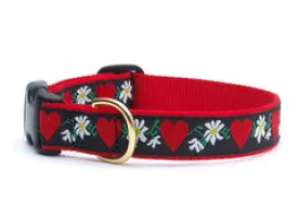Up Country Hearts & Flowers Collars & Leads
