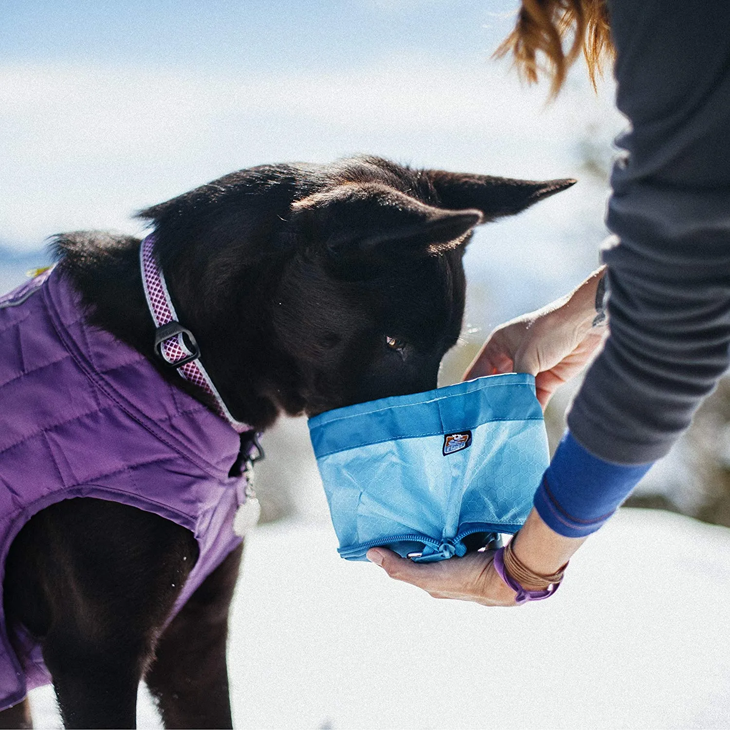 Zippy Travel Dog Bowl
